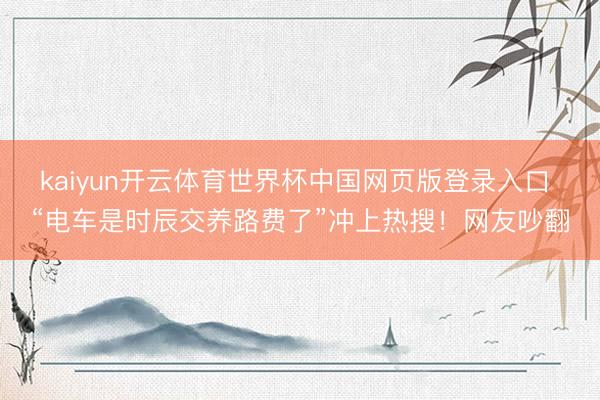 kaiyun开云体育世界杯中国网页版登录入口 “电车是时辰交养路费了”冲上热搜!网友吵翻
