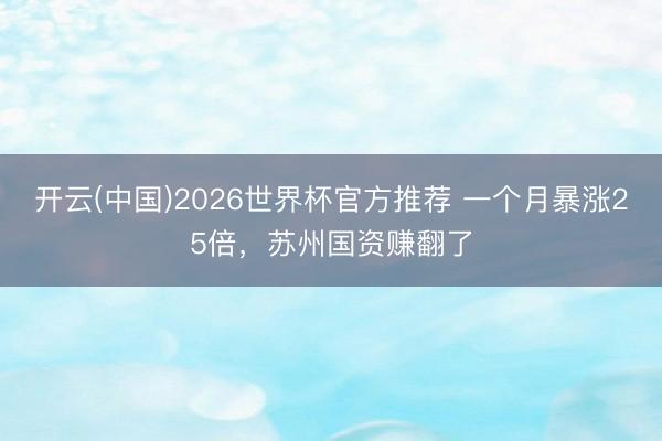 开云(中国)2026世界杯官方推荐 一个月暴涨25倍，苏州国资赚翻了